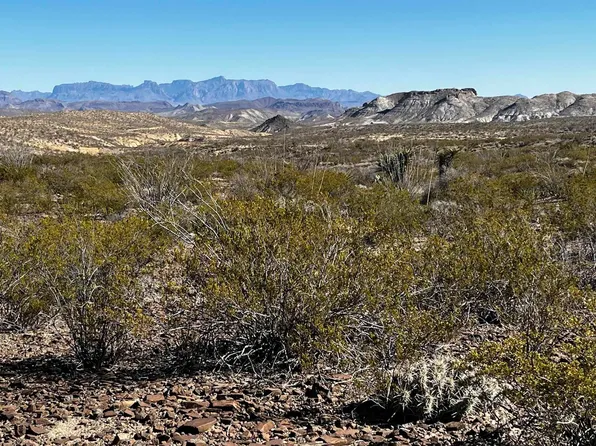 0 Pinks Peak Vis #26996, Terlingua, TX 79852