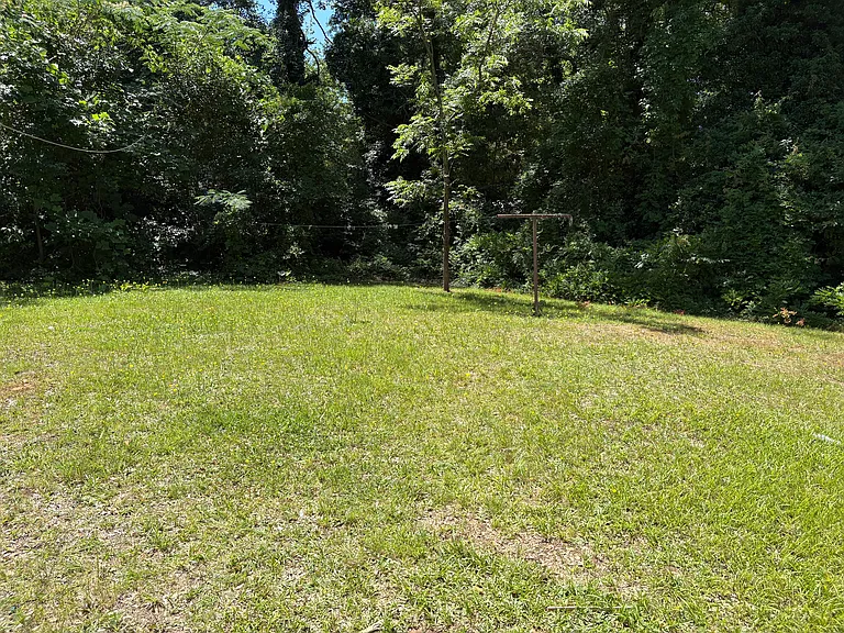 Back yard