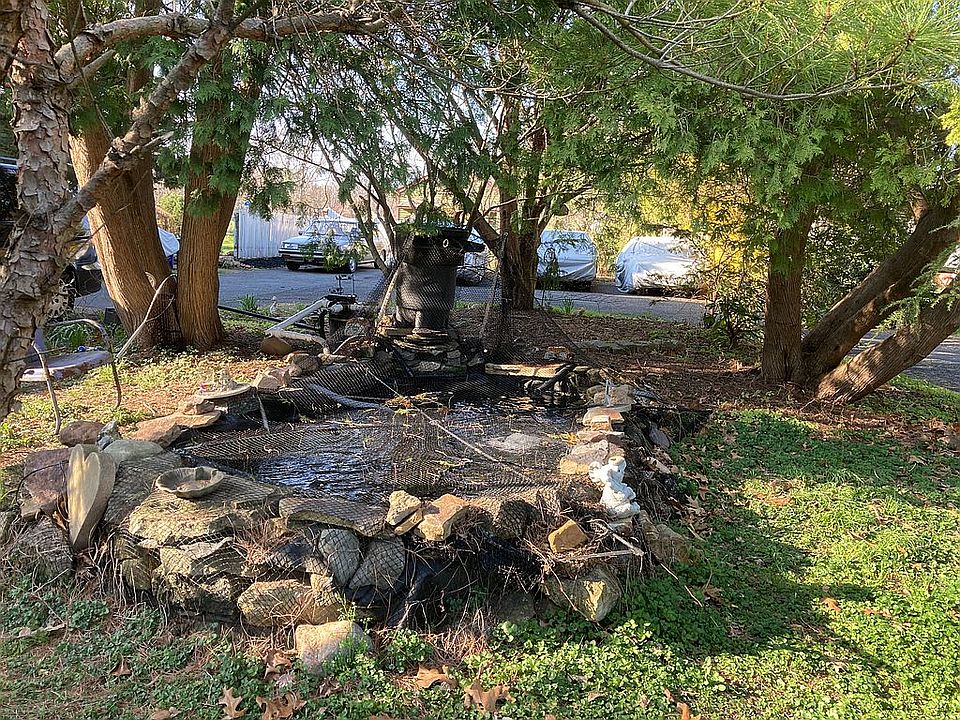 Koi Pond