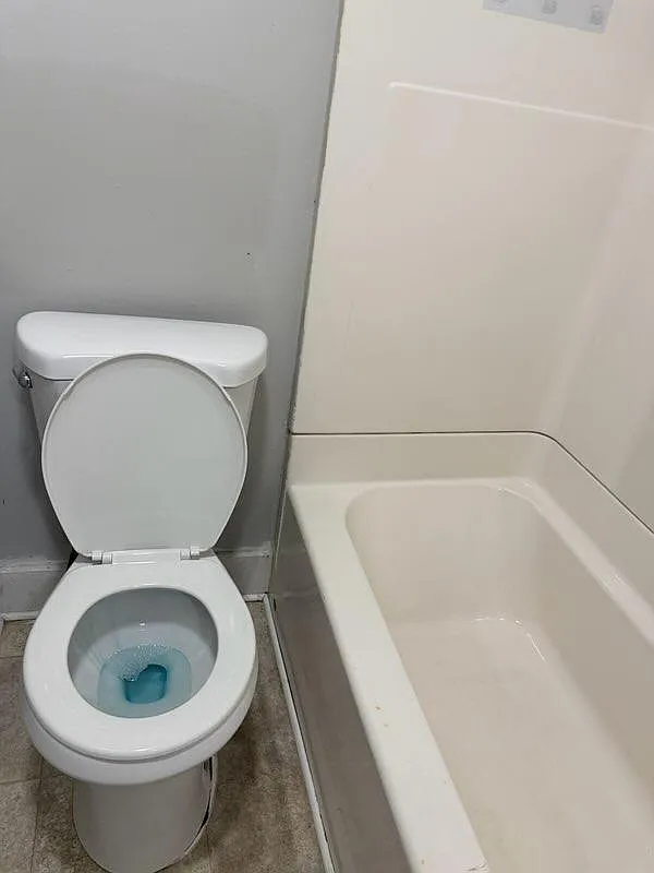 1 bed, 800 sqft, $1,300 — Photo 2