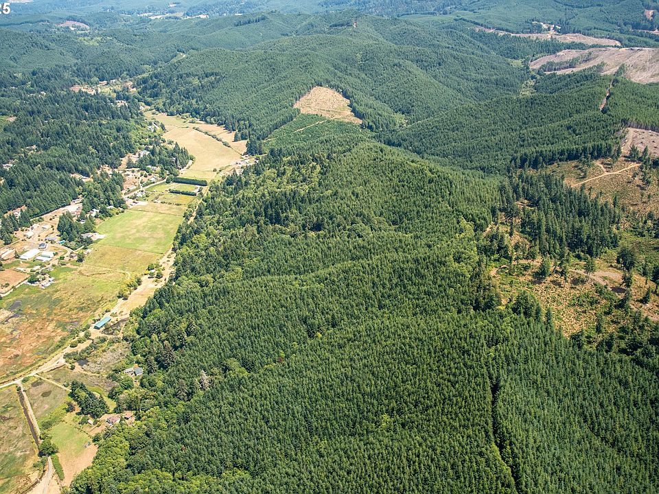 2nd image of Beaver Creek Rd