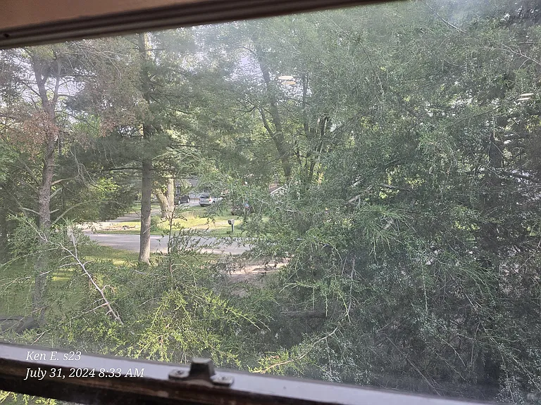 26154 Rogers Rd #C — Photo 37
