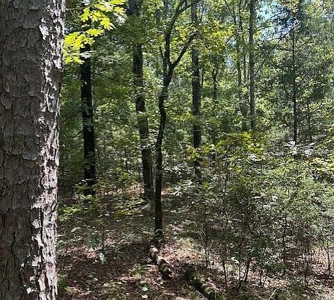 5th image of 0 Ross Hollow Rd