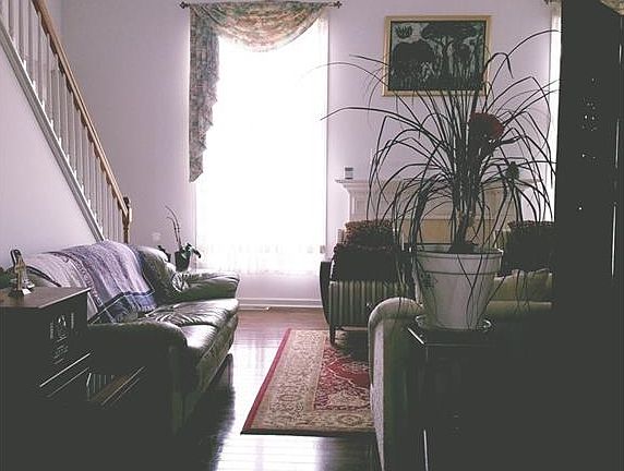 5th image of 466 Pierson Dr