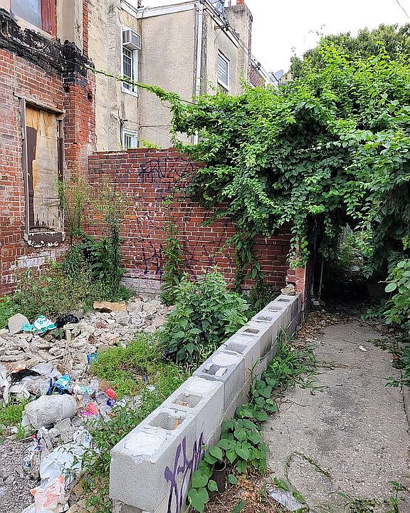 Back yard area