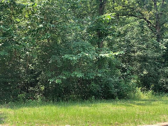 3rd image of 706 Whitehouse Dr
