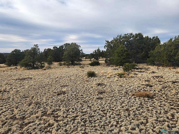 5th image of Pinon Hts