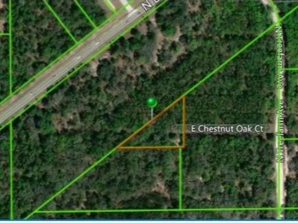 151 E Chestnut Oak Ct, Beverly Hills, FL 34465