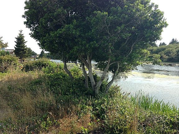 5th image of 181 Canal Dr NE