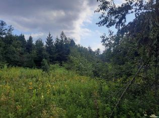 Birchwood Ln, Ladysmith, WI 54848