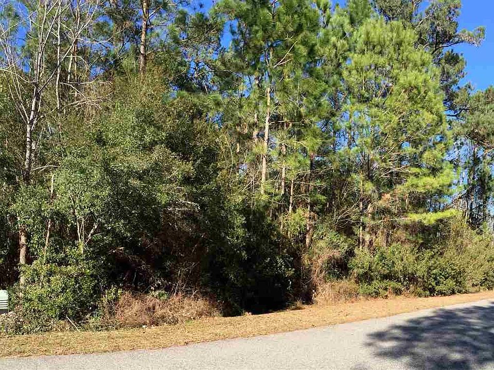 2nd image of 194 Duck Blind Trail Lot 60