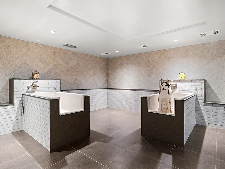 Pet-friendly living with on-site dog spa