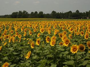 0 Bowen Padgett Rd, Jacksonville, GA 31544