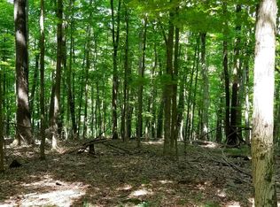 224 224lot Bear Run Rd, Mc Henry, MD 21541