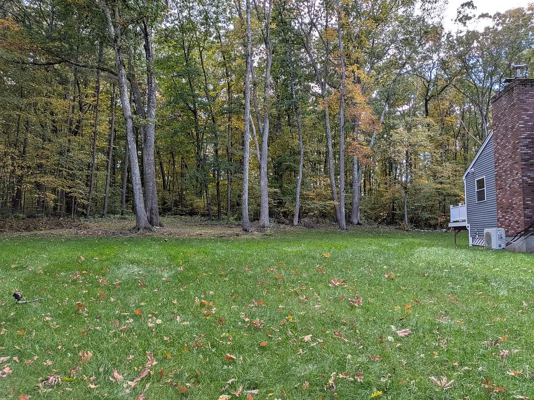 3 bed, 2.0 bath, 1449 sqft, $4,000 — Photo 4