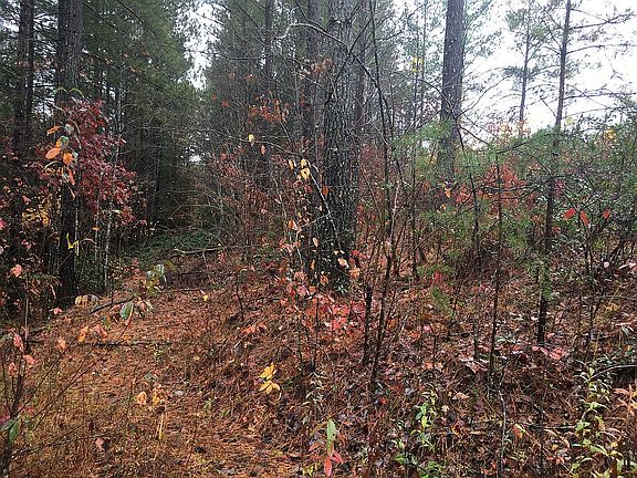 4th image of LOT 8 Stone Creek Dr