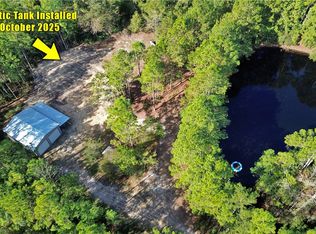 267 Clinton Ave, Waynesville, GA 31566