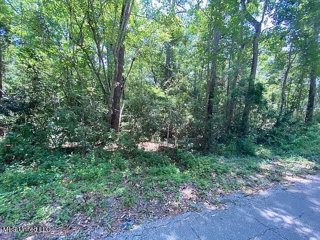 2nd image of Pine Cone Dr Lot 27