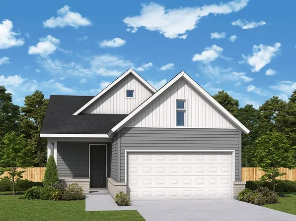 Baja Plan, Kissing Tree - Grove Series