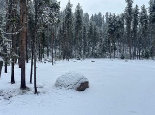 613 Leisure Ln, Sula, MT 59871