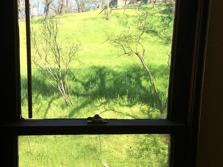 view from upstairs