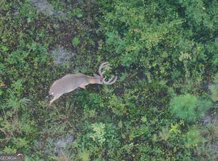 0 Laurel Branch Rd, Mc Intyre, GA 31054