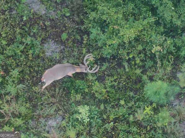 0 Laurel Branch Rd, Mc Intyre, GA 31054