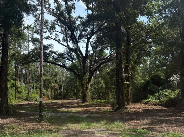 910 SW Utah St, Fort White, FL 32038