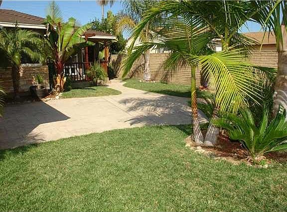 Front Yard / Driveway