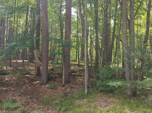0 Annie Ln Lot 11, Rhinelander, WI 54501