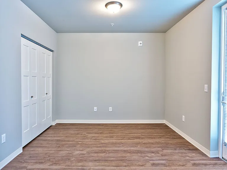 Elm - Open 1 Bedroom