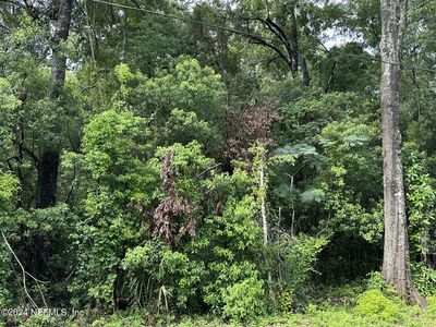 0 EASTWOOD Drive, Starke, FL, 32091