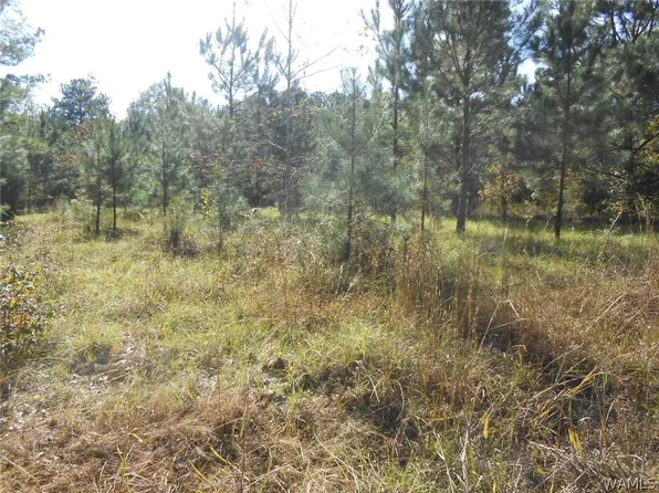 0 Wallace Rd, Cuba, AL 36907