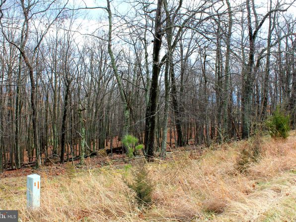 39 Berenger Dr, Petersburg, WV 26847