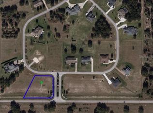 18243 Great Blue Heron Dr, Groveland, FL 34736