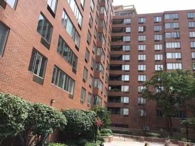 801 S Plymouth Ct APT 701, Chicago, IL, 60605