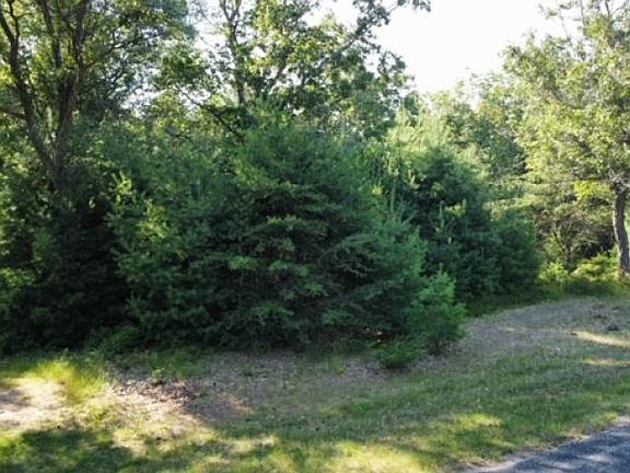 3rd image of 3663 Rollin Hill Ct