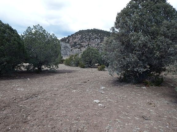 3rd image of 2664 A Hwy 12 #Hwy 12