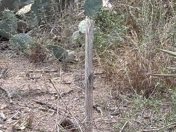 2nd image of LOT 60 Los Fresnos Loop