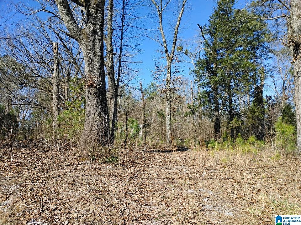 2nd image of 3301 Talladega Hwy #0