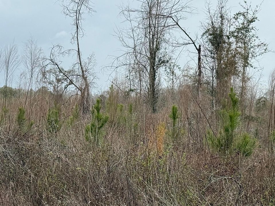 2nd image of 0 Christmas Rd