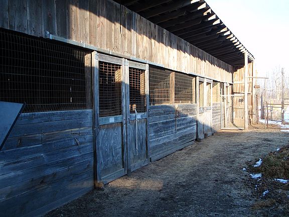 stalls in 96' building