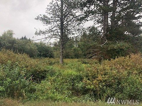 1st image of 2645 Trevue Ave SW