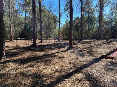 7101 N Woods Dr, Semmes, AL, 36575