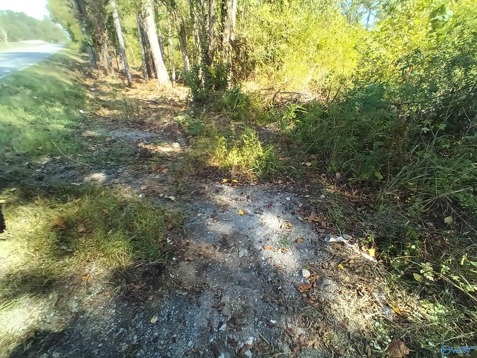 2nd image of Highway 49e Bluff City Rd