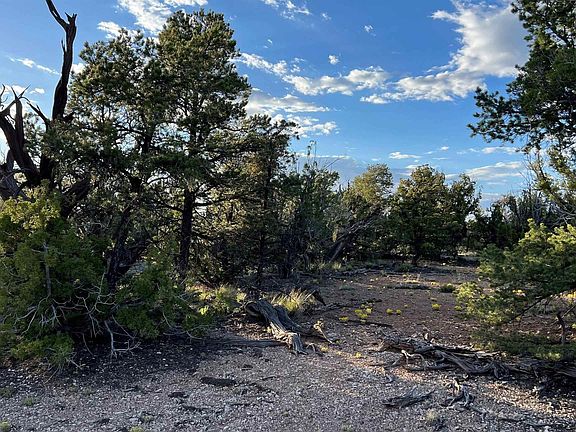 3rd image of Canyon View Rd