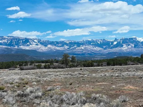 3690 Ponderosa Drive, Ridgway, CO 81432