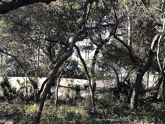 5th image of 1500 Los Ninos Cir