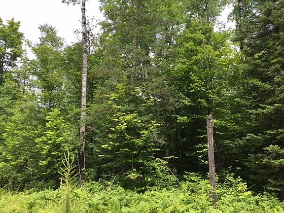 4th image of Lot 6 Bear Lake Road