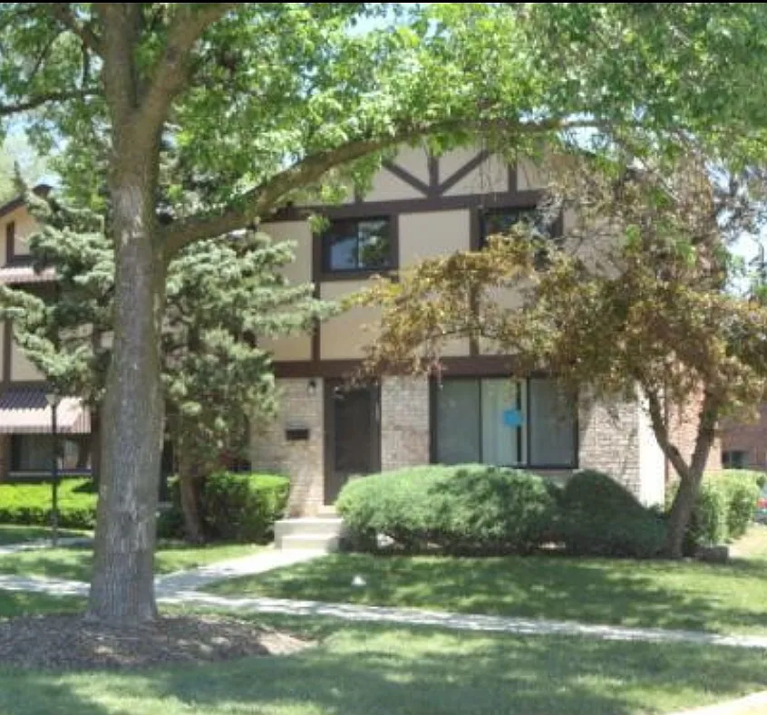 1S287 Michigan Ave photo 1